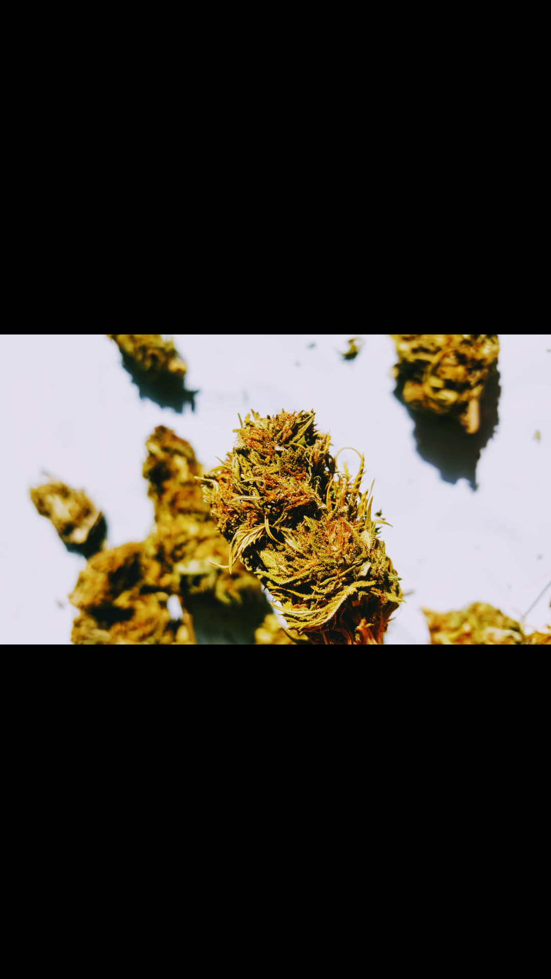 Screenshot_20181004-110157.png