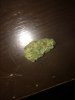 IMG_0102.JPG
