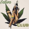 Sativa_club